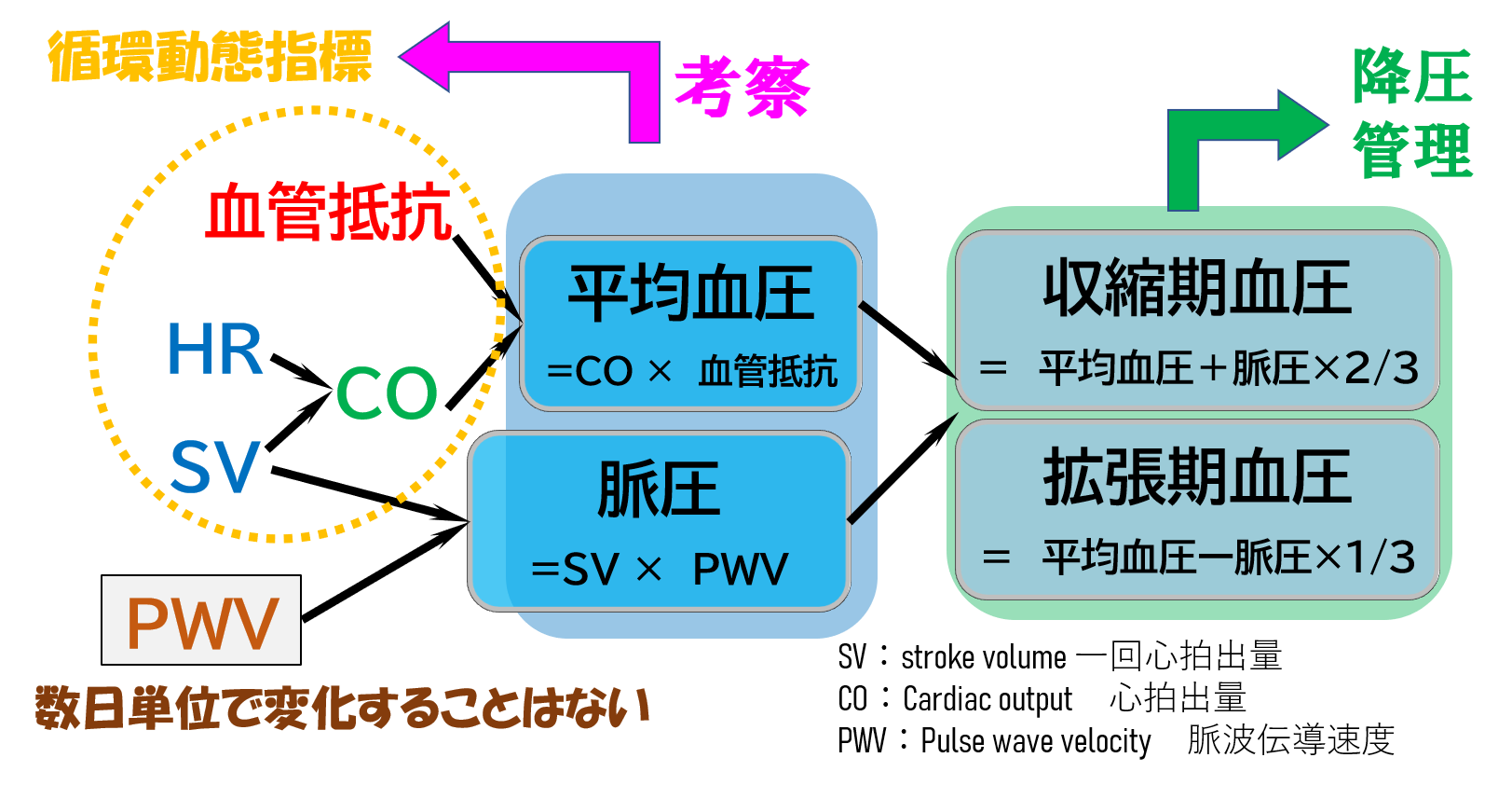 【循環管理レベルアップ】平均血圧，脈圧をみる【収縮期/拡張期血圧との違い】 | 循環器Drぷーのコソ勉る〜む